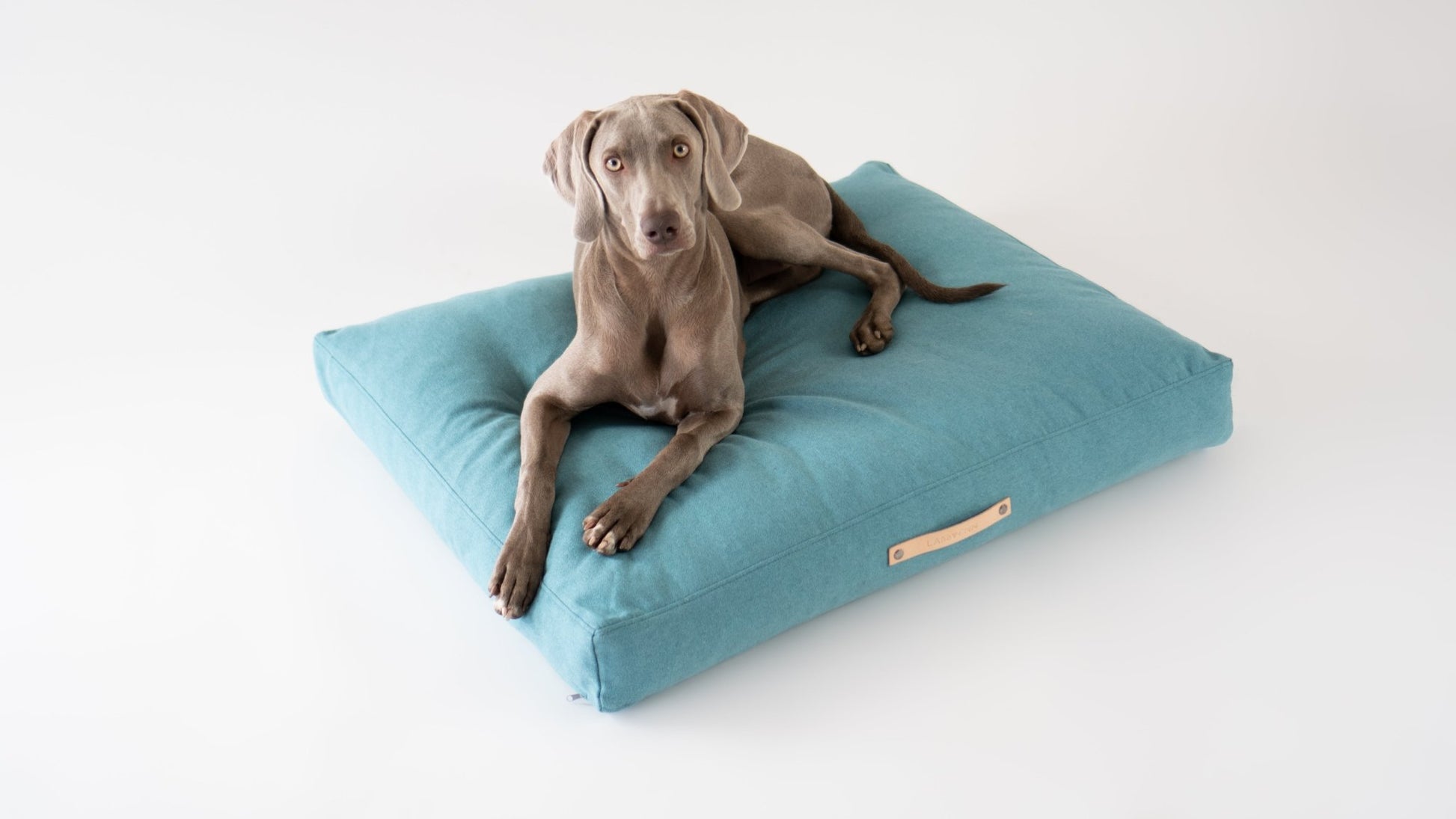 Oslo | Coussin pour chien - style scandinave, housse lavable - Jean - Poil - Bleu marine