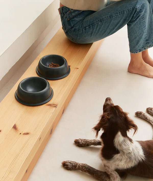 Pacifica | Gamelle pour chien en grés fin - Jean - Poil - Anthracite