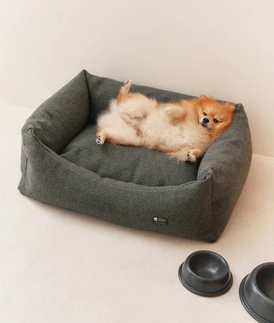 Pacifica | Gamelle pour chien en grés fin - Jean - Poil - Anthracite