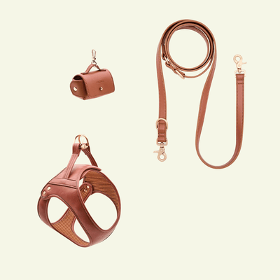 Pack Jala : Harnais + Laisse multipositions + Poop bag en cuir vegan marron - Jean - Poil - 2XS