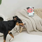 Paco | Jouet pour chien en chutes de cuir et fibres de coco - Jean - Poil - 