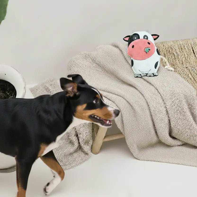 Paco | Jouet pour chien en chutes de cuir et fibres de coco - Jean - Poil - 