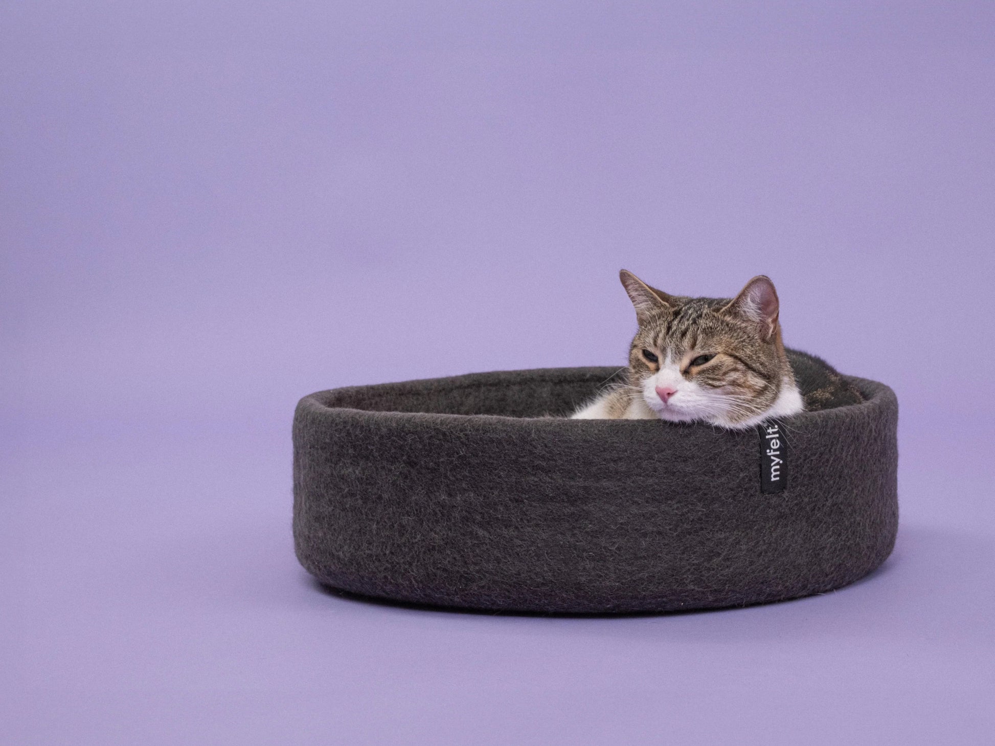 Panier pour chat en laine feutrée naturelle gris, personnalisable - Jean - Poil - Marron