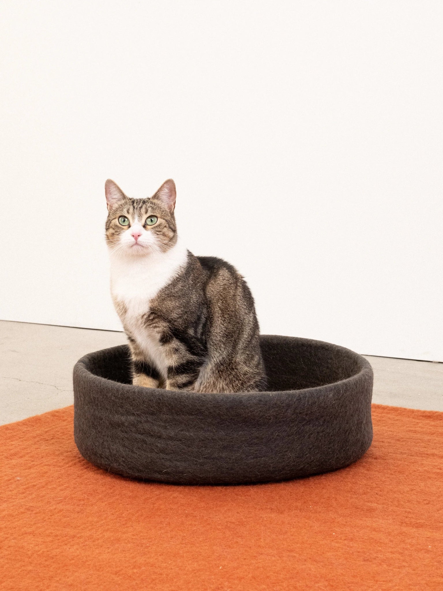 Panier pour chat en laine feutrée naturelle gris, personnalisable - Jean - Poil - Marron