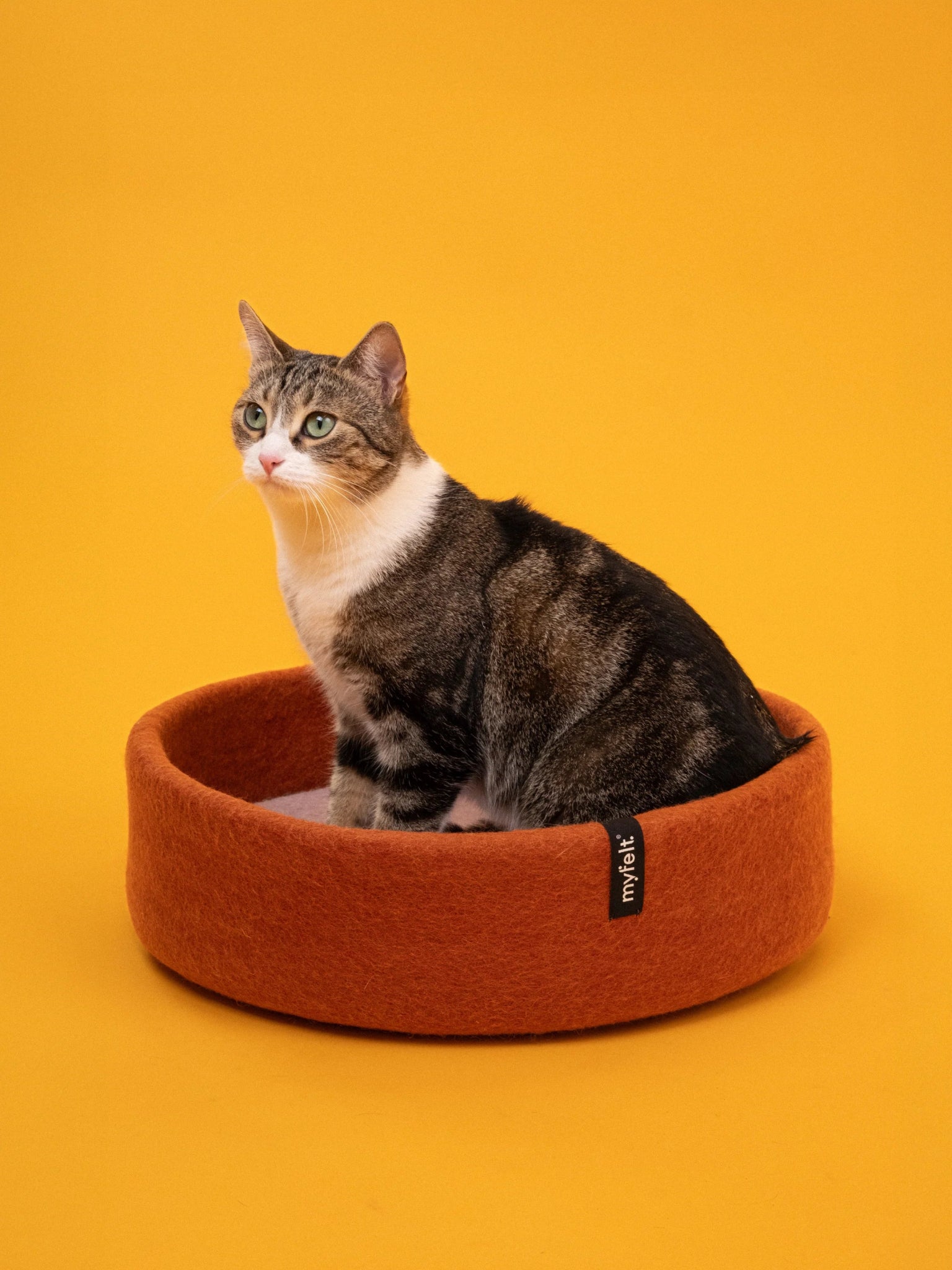 Panier pour chat en laine feutrée naturelle rouille, personnalisable - Jean - Poil - Bleu