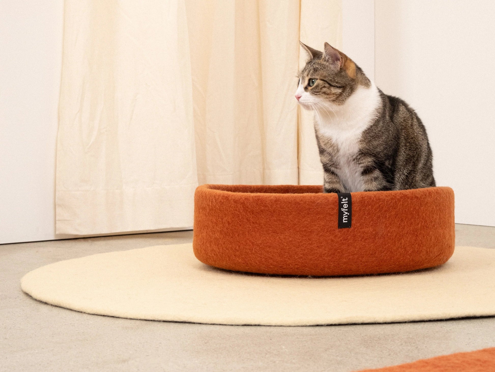 Panier pour chat en laine feutrée naturelle rouille, personnalisable - Jean - Poil - Bleu