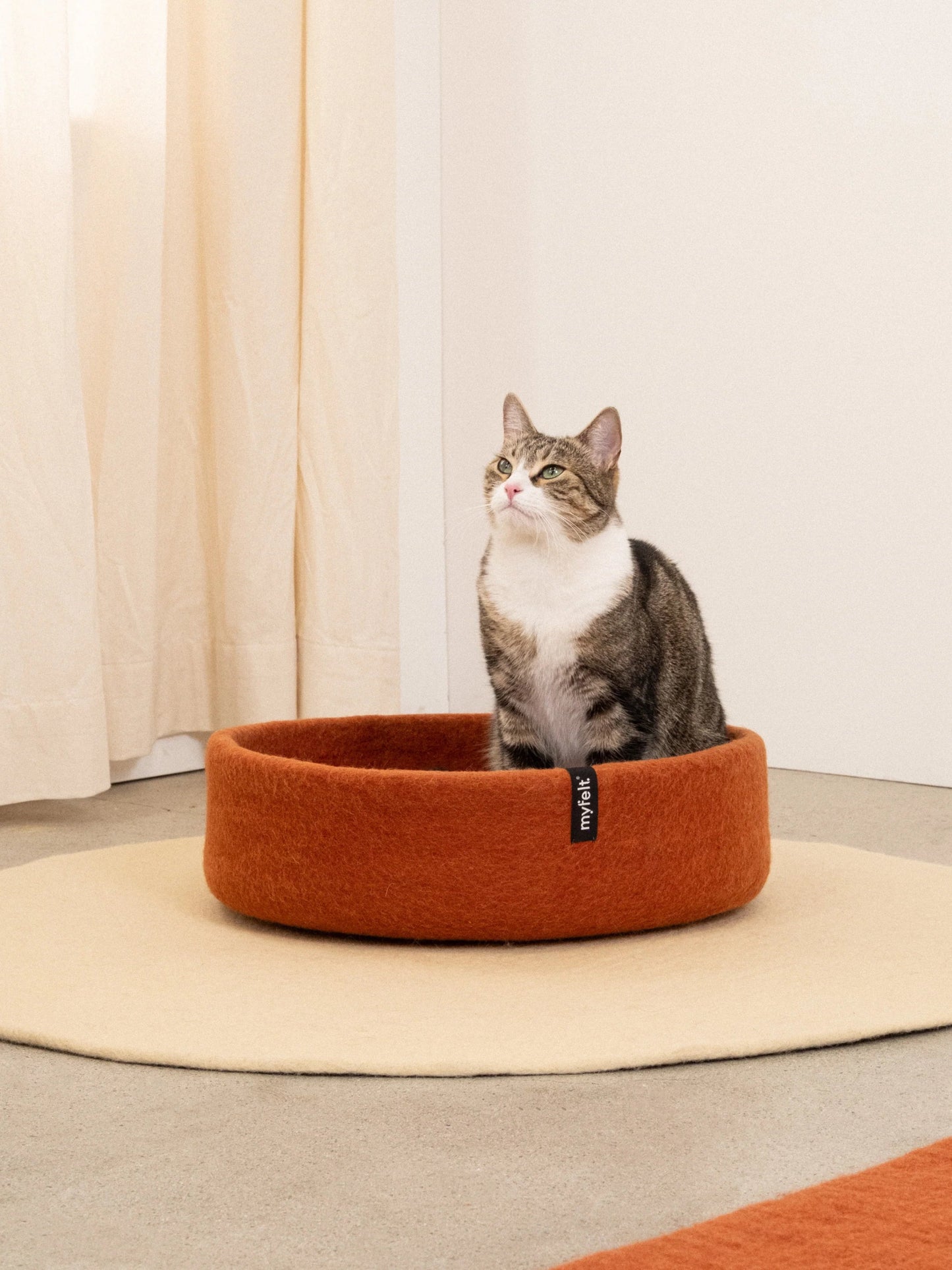 Panier pour chat en laine feutrée naturelle rouille, personnalisable - Jean - Poil - Bleu