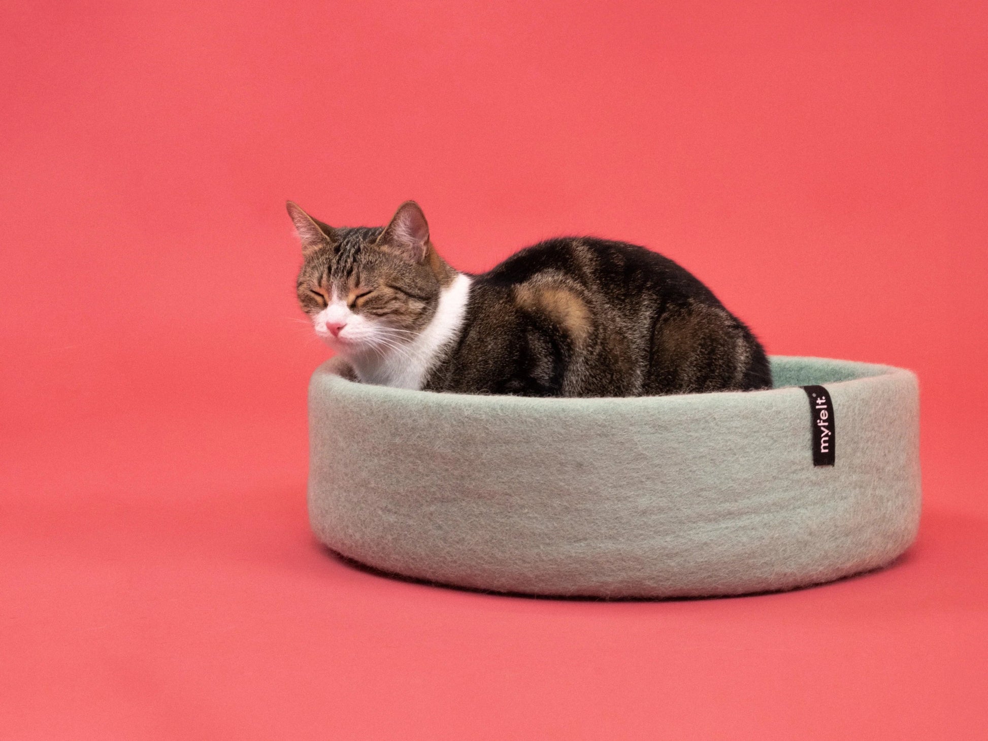 Panier pour chat en laine feutrée naturelle vert sauge, personnalisable - Jean - Poil - Beige