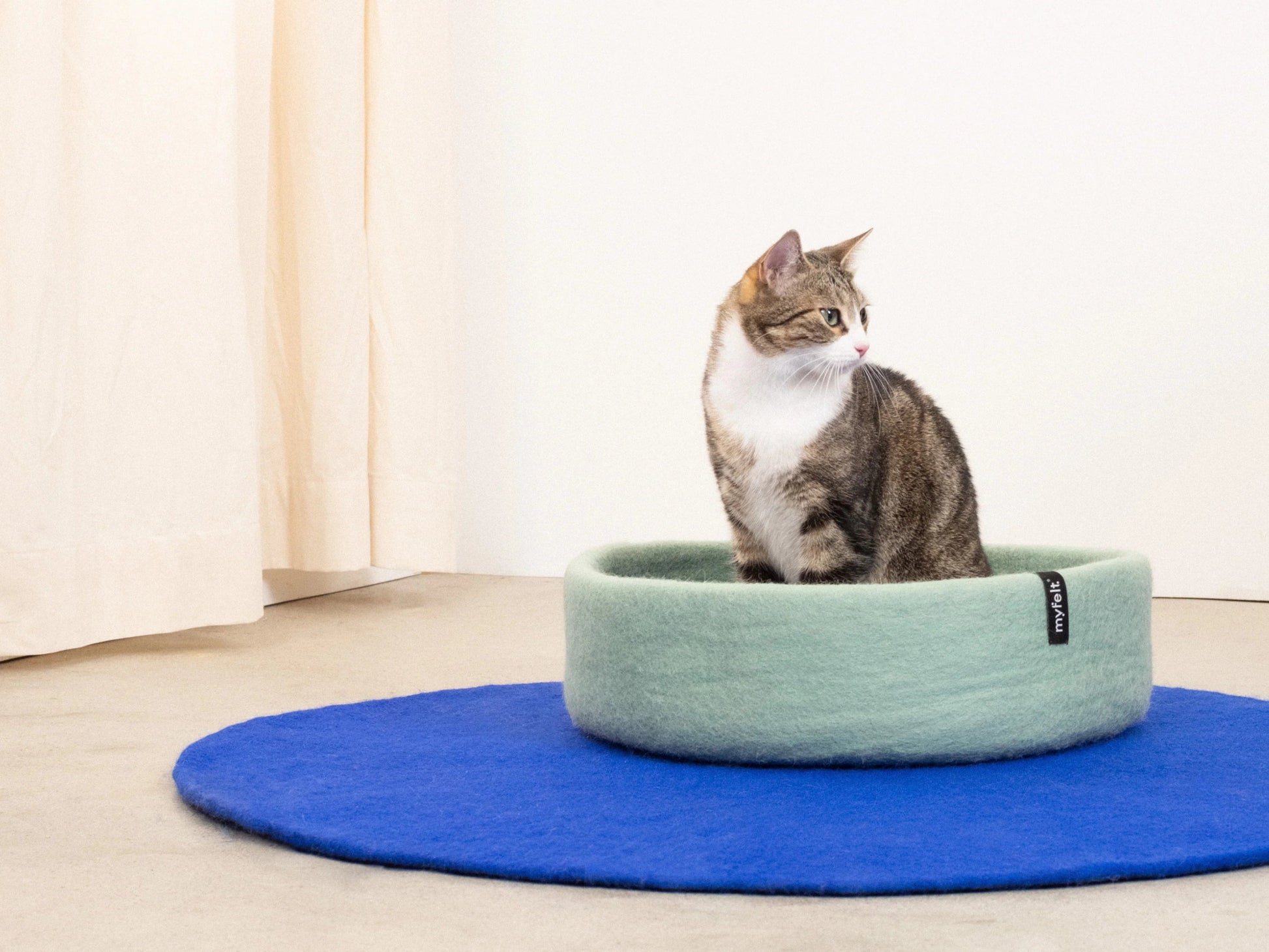 Panier pour chat en laine feutrée naturelle vert sauge, personnalisable - Jean - Poil - Beige