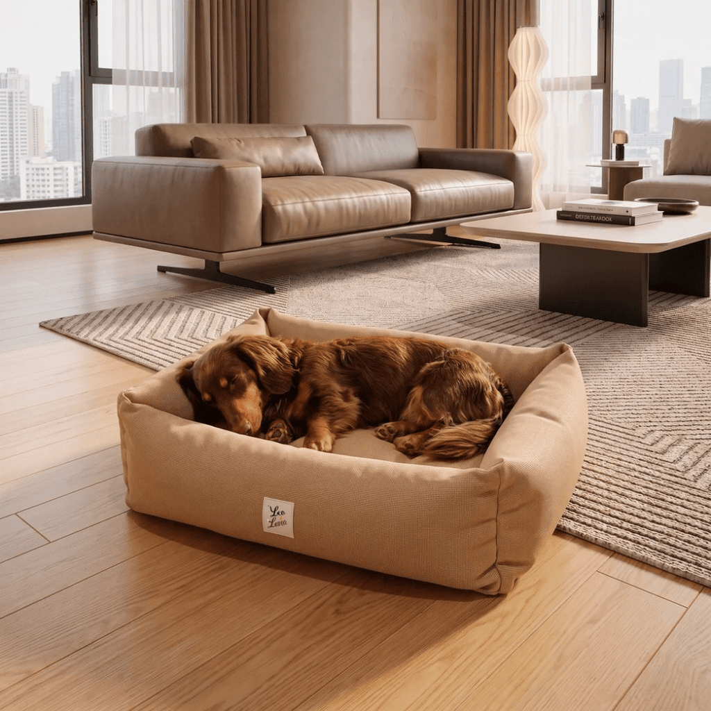Pioggia | Panier pour chien waterproof, housse amovible - Jean-Poil - Beige