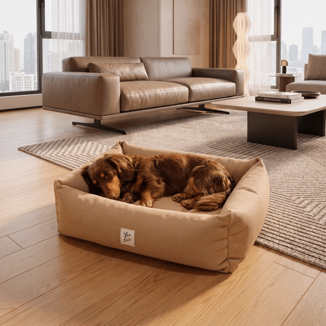 Pioggia | Panier pour chien waterproof, housse amovible - Jean-Poil - Beige