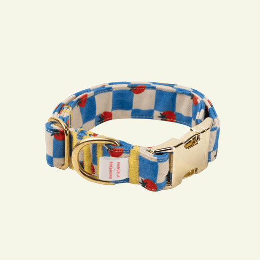 Pomodoro | Collier pour chien à carreaux bleus - motif tomates, fait main - Jean - Poil - 2XS