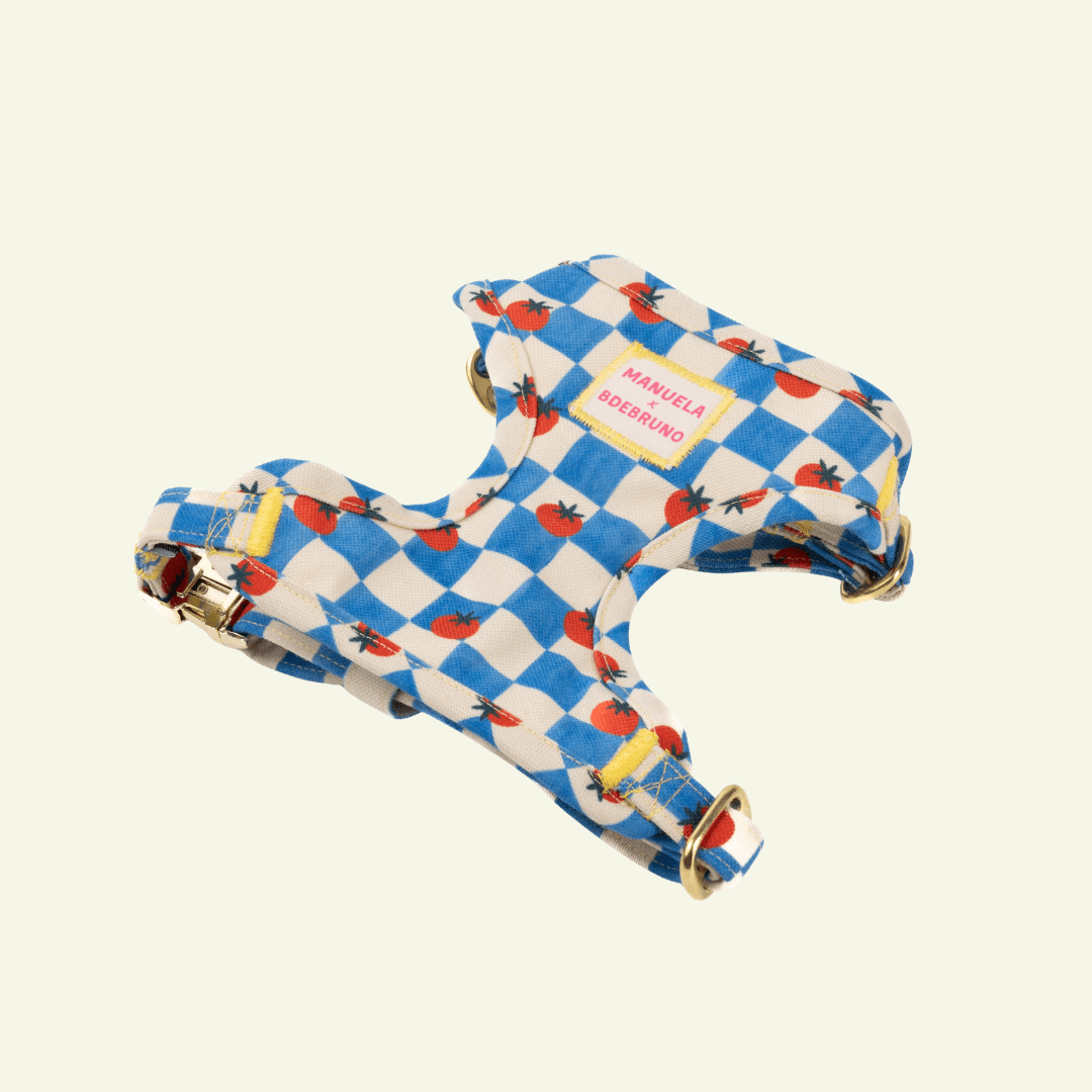 Pomodoro | Harnais de poitrine pour chat à carreaux bleus - motif tomates, fait main - Jean - Poil - XS