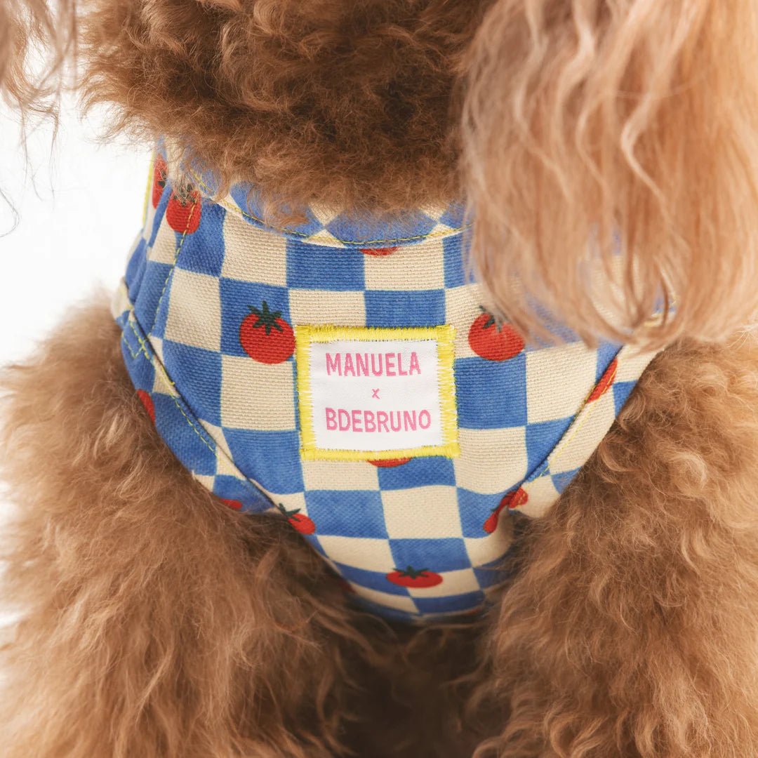 Pomodoro | Harnais wrap pour chien à carreaux bleus - motif tomates, fait main - Jean - Poil - 2XS