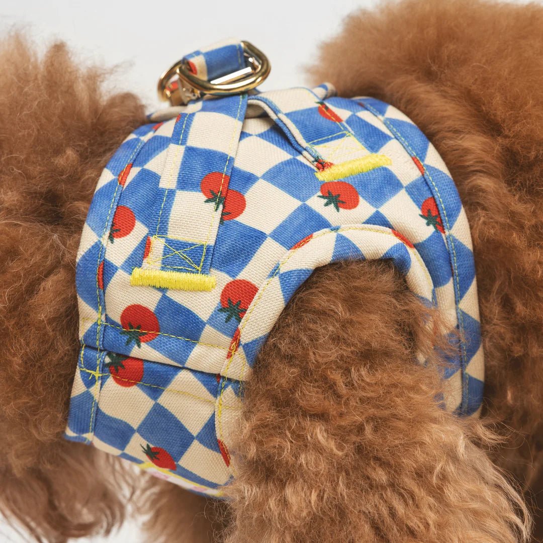 Pomodoro | Harnais wrap pour chien à carreaux bleus - motif tomates, fait main - Jean - Poil - 2XS
