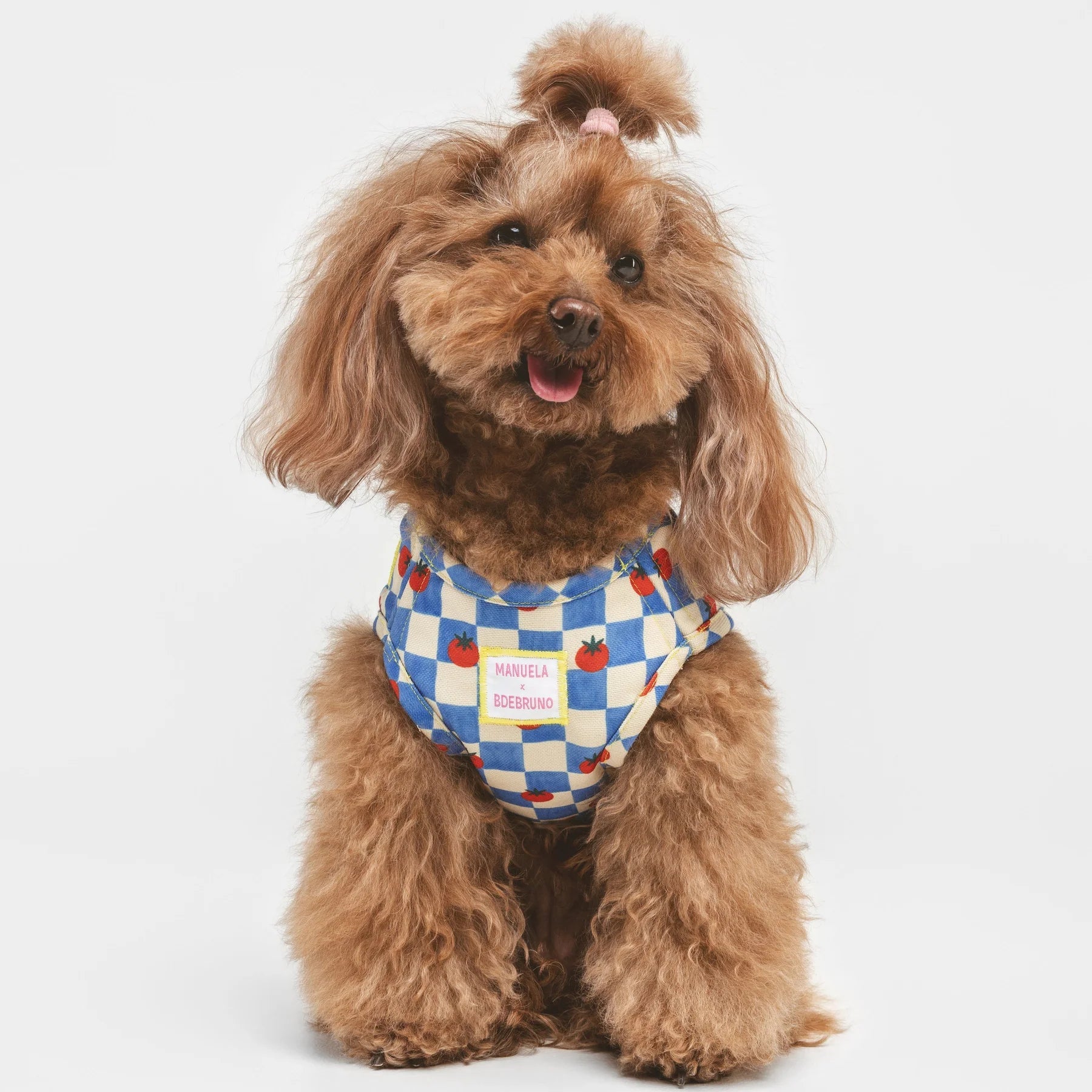 Pomodoro | Harnais wrap pour chien à carreaux bleus - motif tomates, fait main - Jean - Poil - 2XS