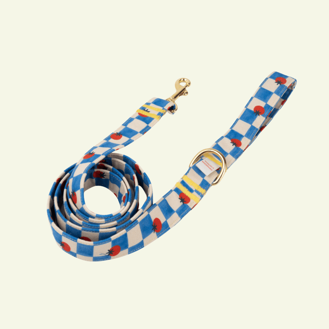 Pomodoro | Laisse pour chats motif tomates, ville & multipositions, fait main - Jean - Poil - M