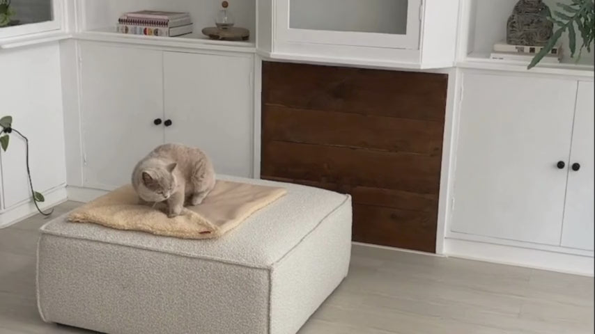Couverture pour chat réversible douce et design