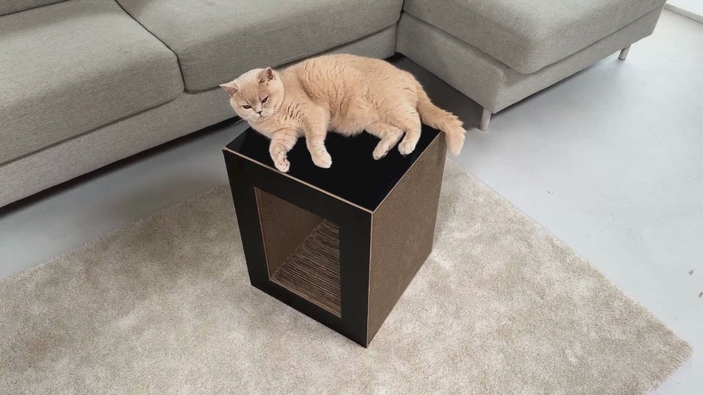 Table | Meuble à griffer en carton recyclé pour chat