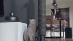 Totem | Griffoir de compétition en bois et sisal pour chat
