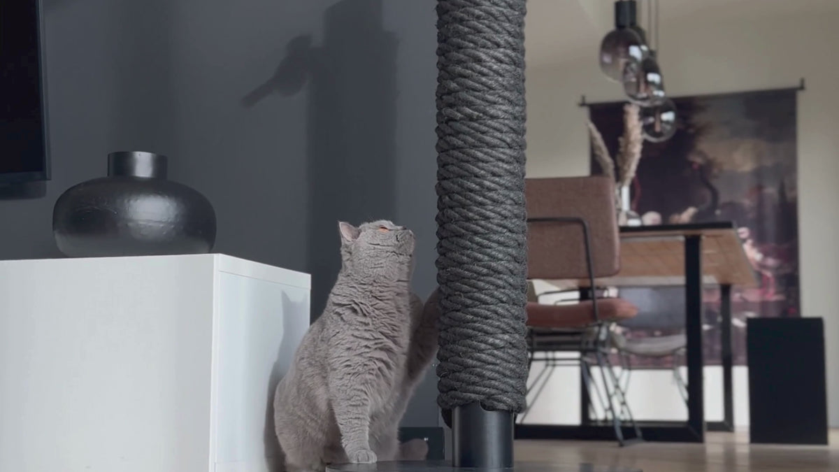 Totem | Griffoir de compétition en bois et sisal pour chat