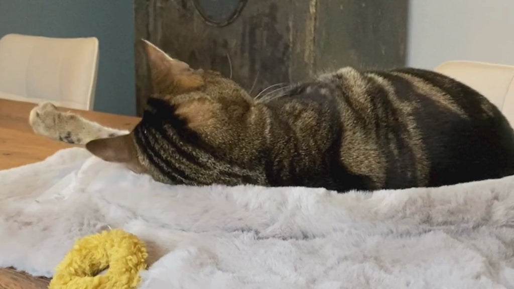 Flip | Lit modulable pour chat réversible