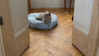 Donut | Lit donut pour chat doux et lavable, plusieurs coloris