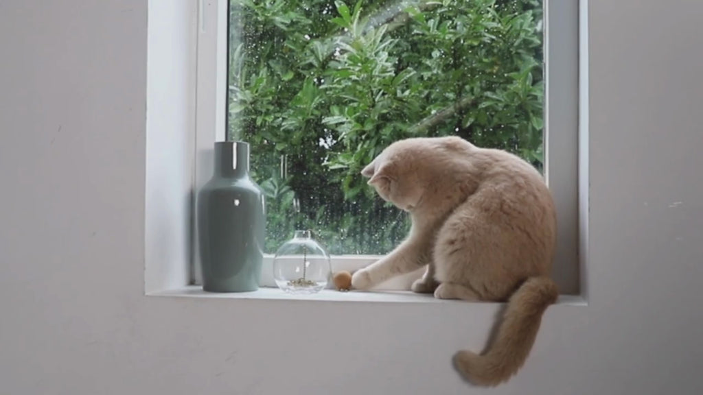 Tail | Jouet design interactif pour chat