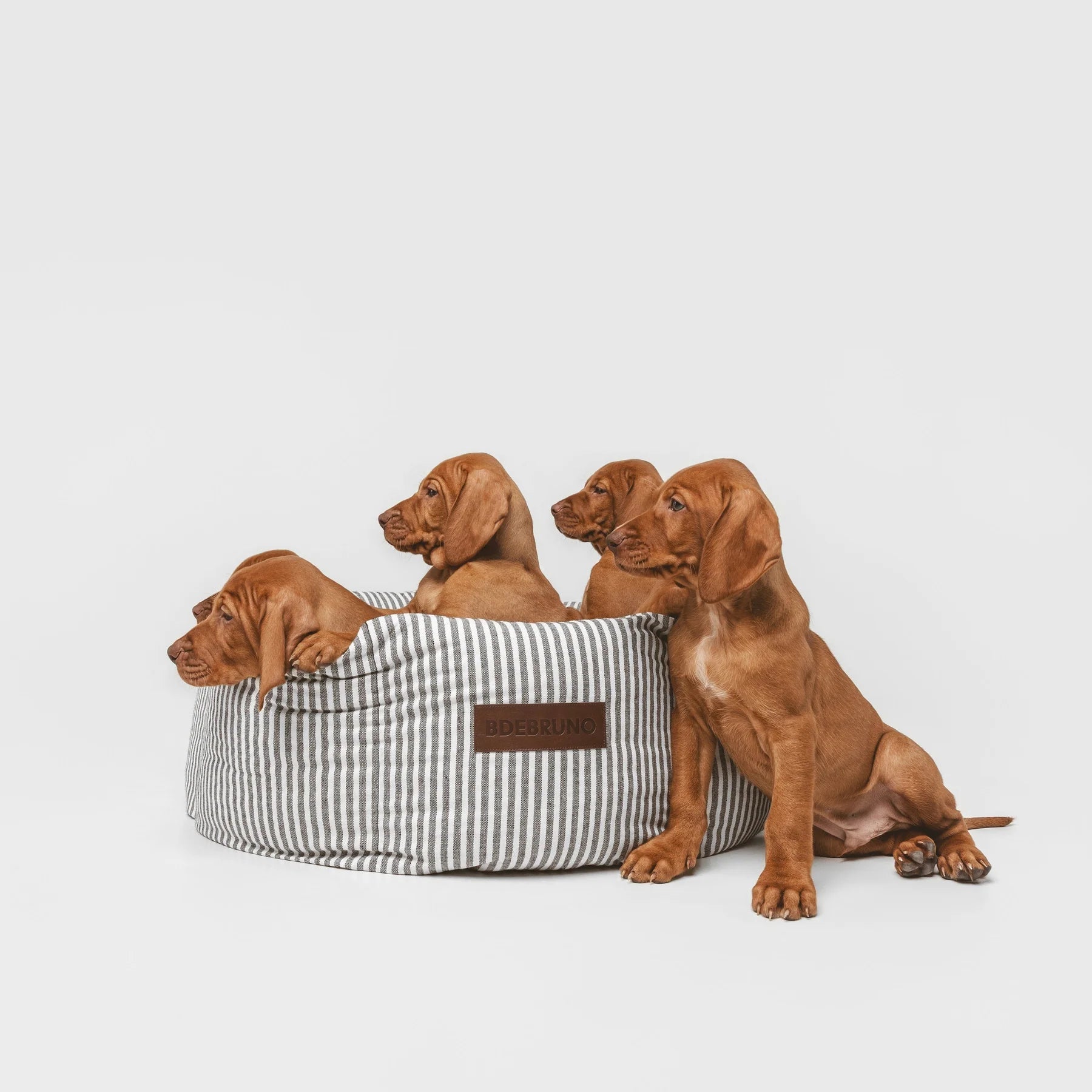 Puglia Cupcake | Panier rond pour chien à rayures, fait main - Jean - Poil - S