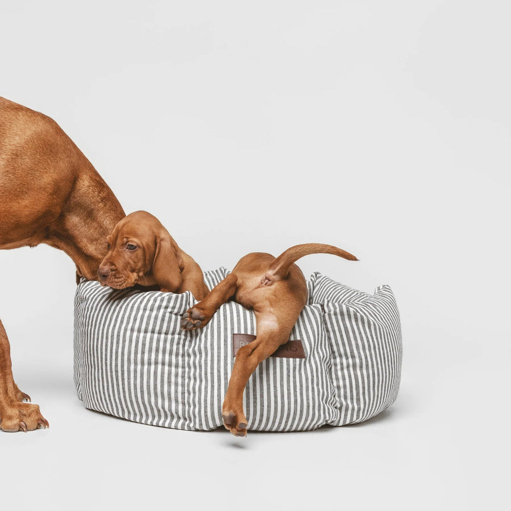 Puglia Cupcake | Panier rond pour chien à rayures, fait main - Jean - Poil - S