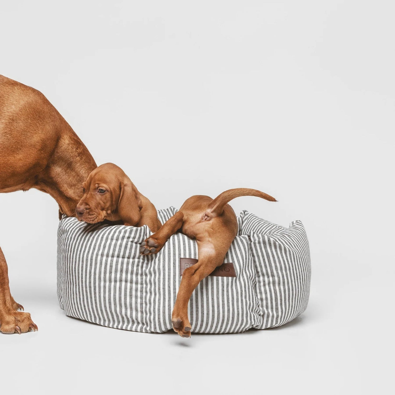 Puglia Cupcake | Panier rond pour chien à rayures, fait main - Jean - Poil - S