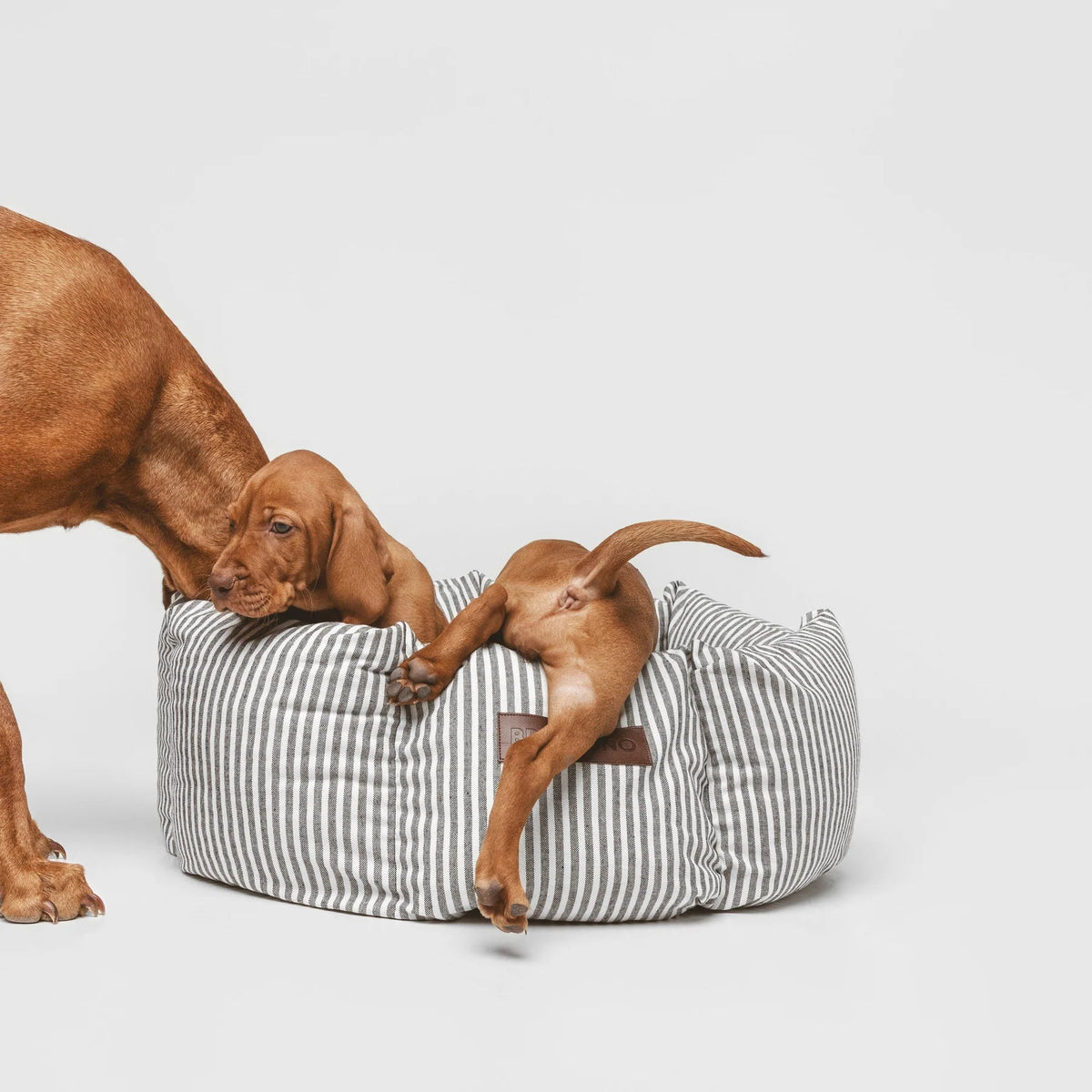 Puglia Cupcake | Panier rond pour chien à rayures, fait main - Jean - Poil - S