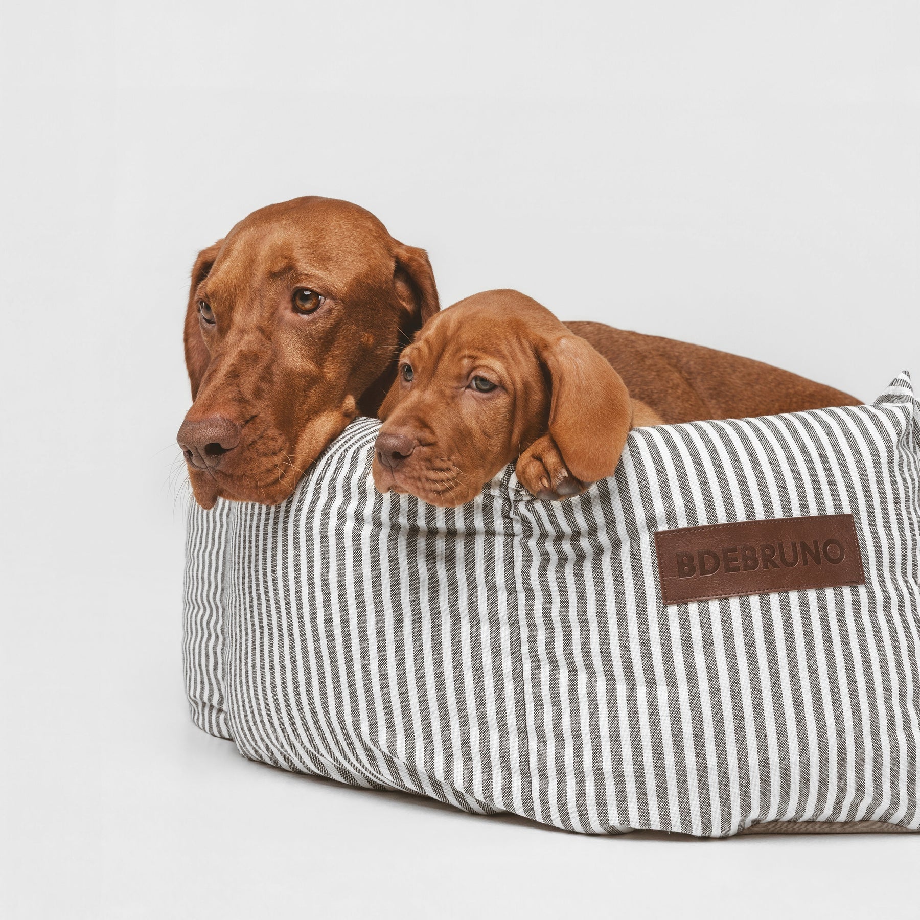 Puglia Cupcake | Panier rond pour chien à rayures, fait main - Jean - Poil - S