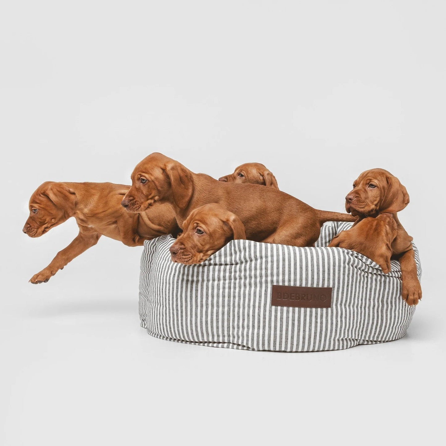 Puglia Cupcake | Panier rond pour chien à rayures, fait main - Jean - Poil - S