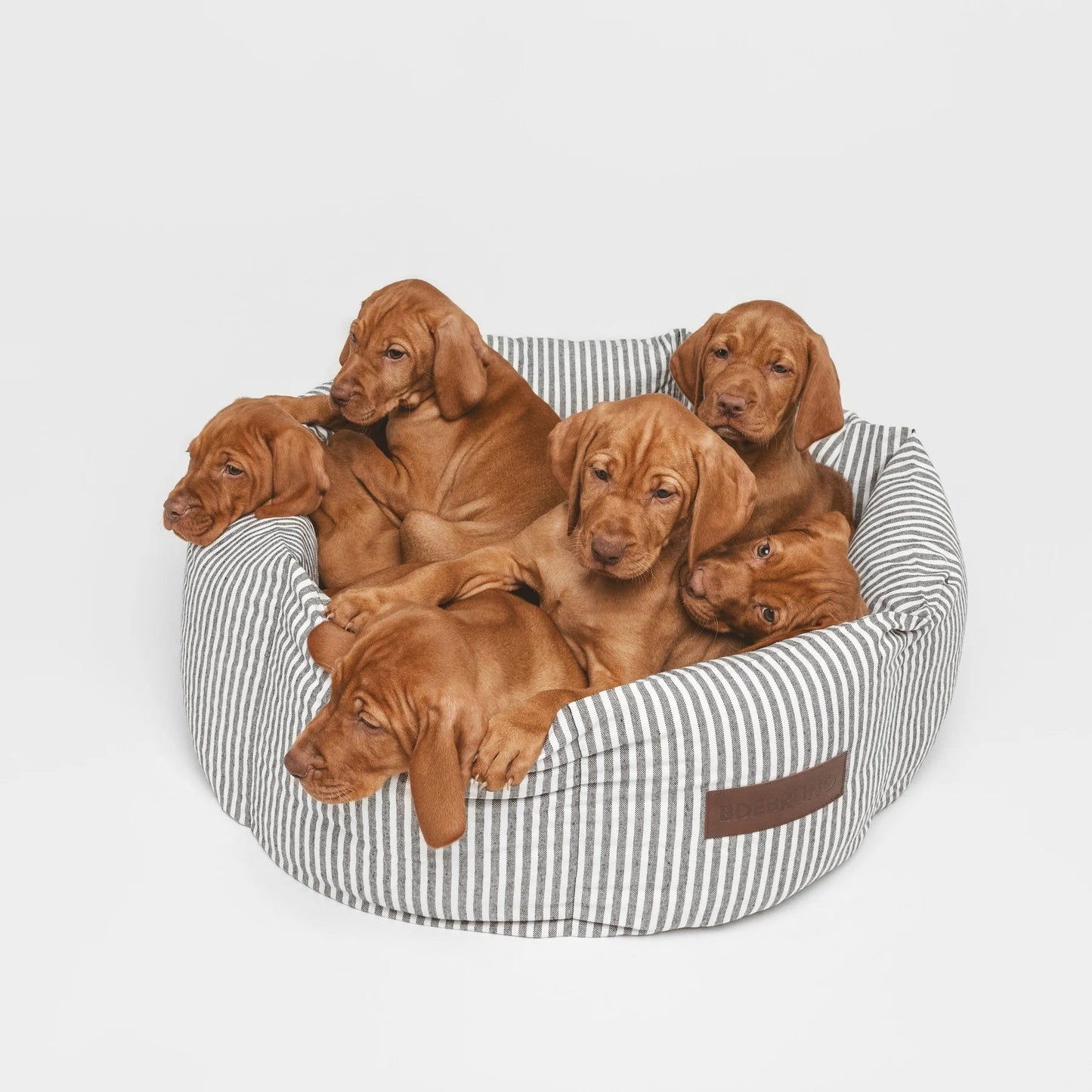 Puglia Cupcake | Panier rond pour chien à rayures, fait main - Jean - Poil - S