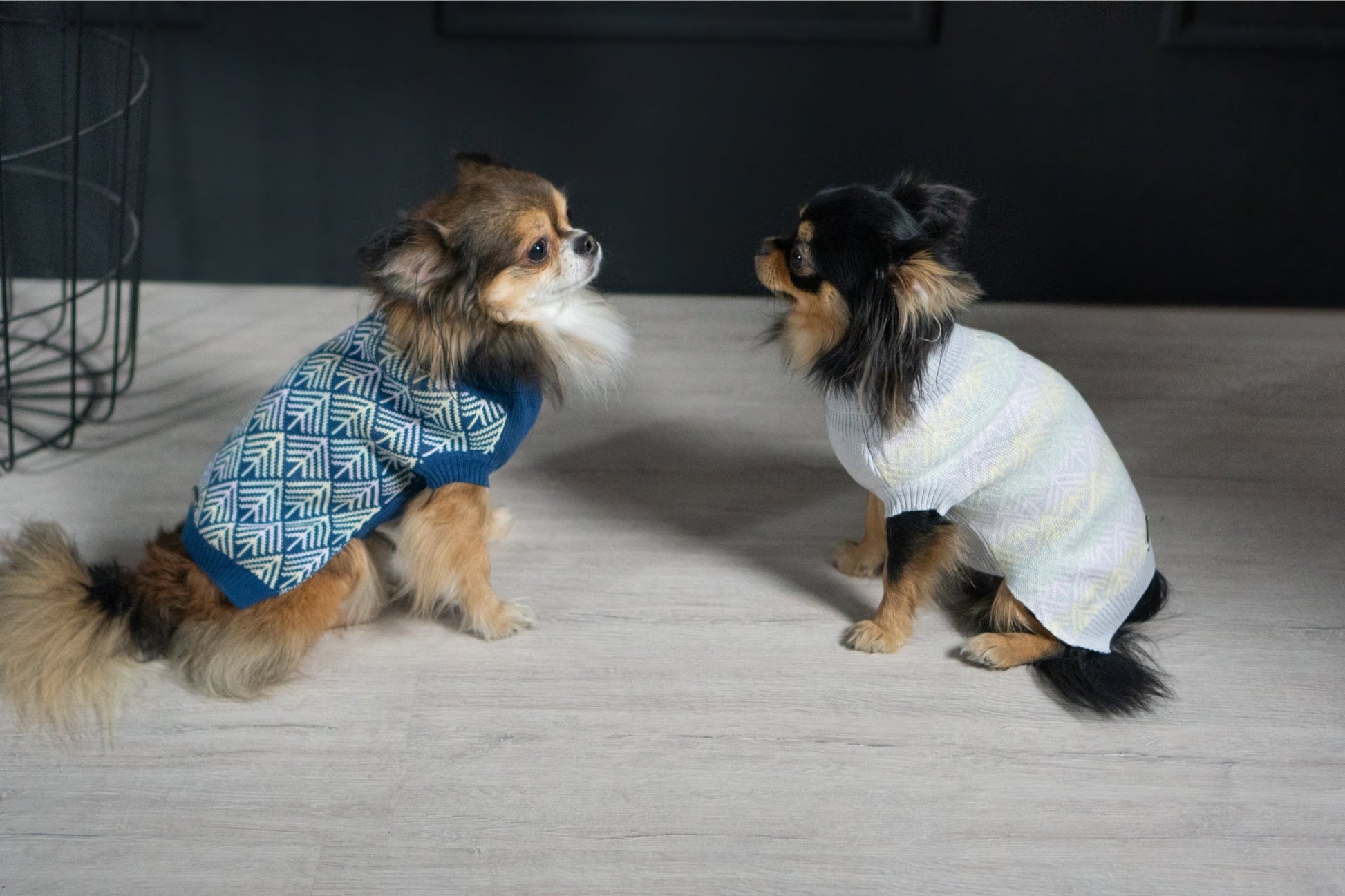 Pullo | Pull pour chien en laine italienne - Jean - Poil - Marine