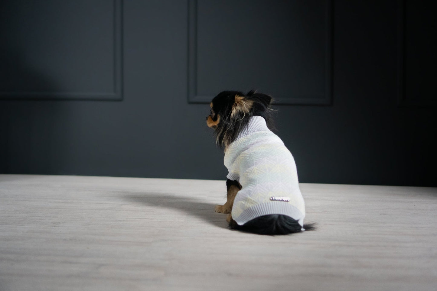 Pullo | Pull pour chien en laine italienne - Jean - Poil - Marine