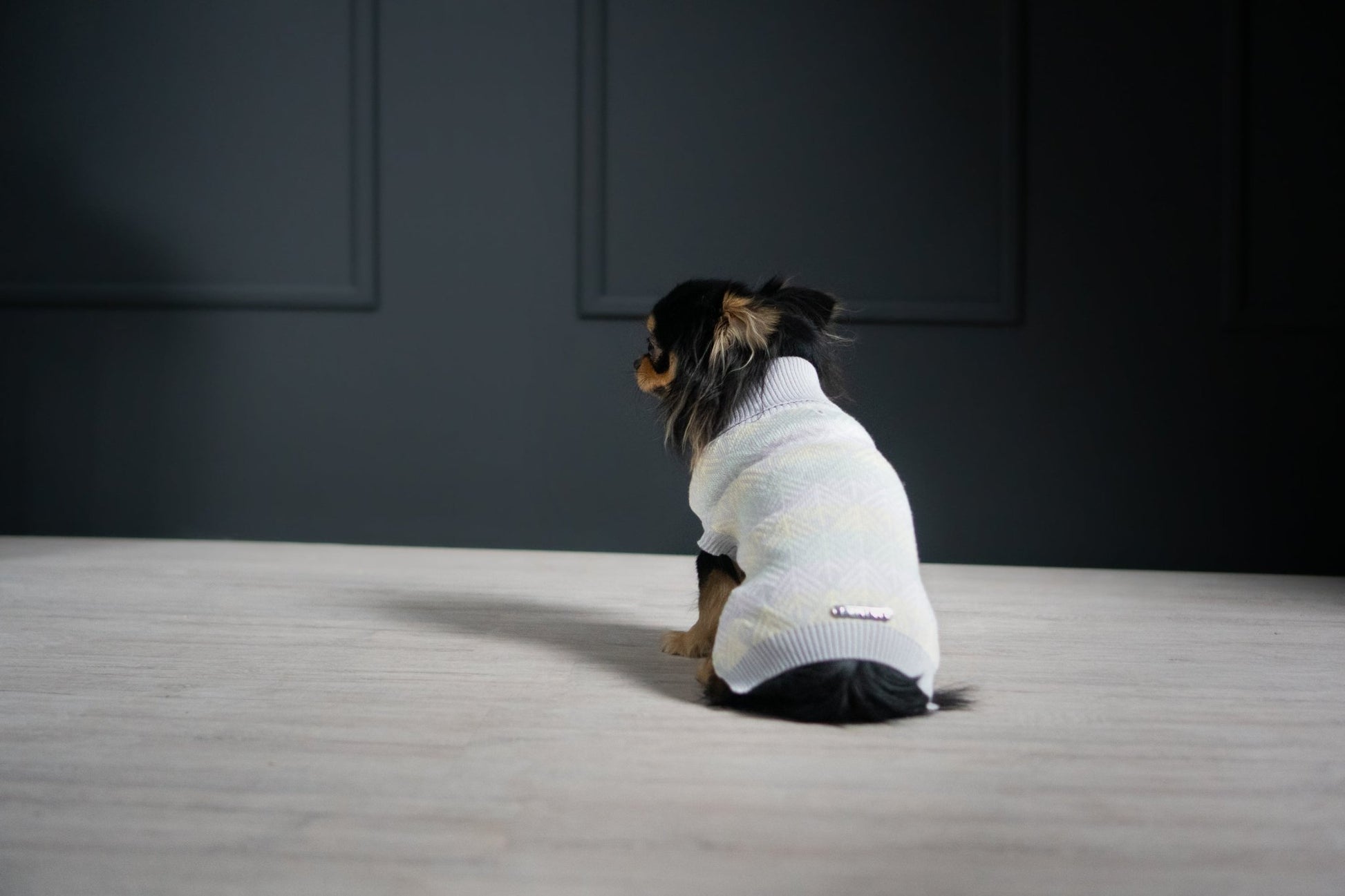 Pullo | Pull pour chien en laine italienne - Jean - Poil - Marine