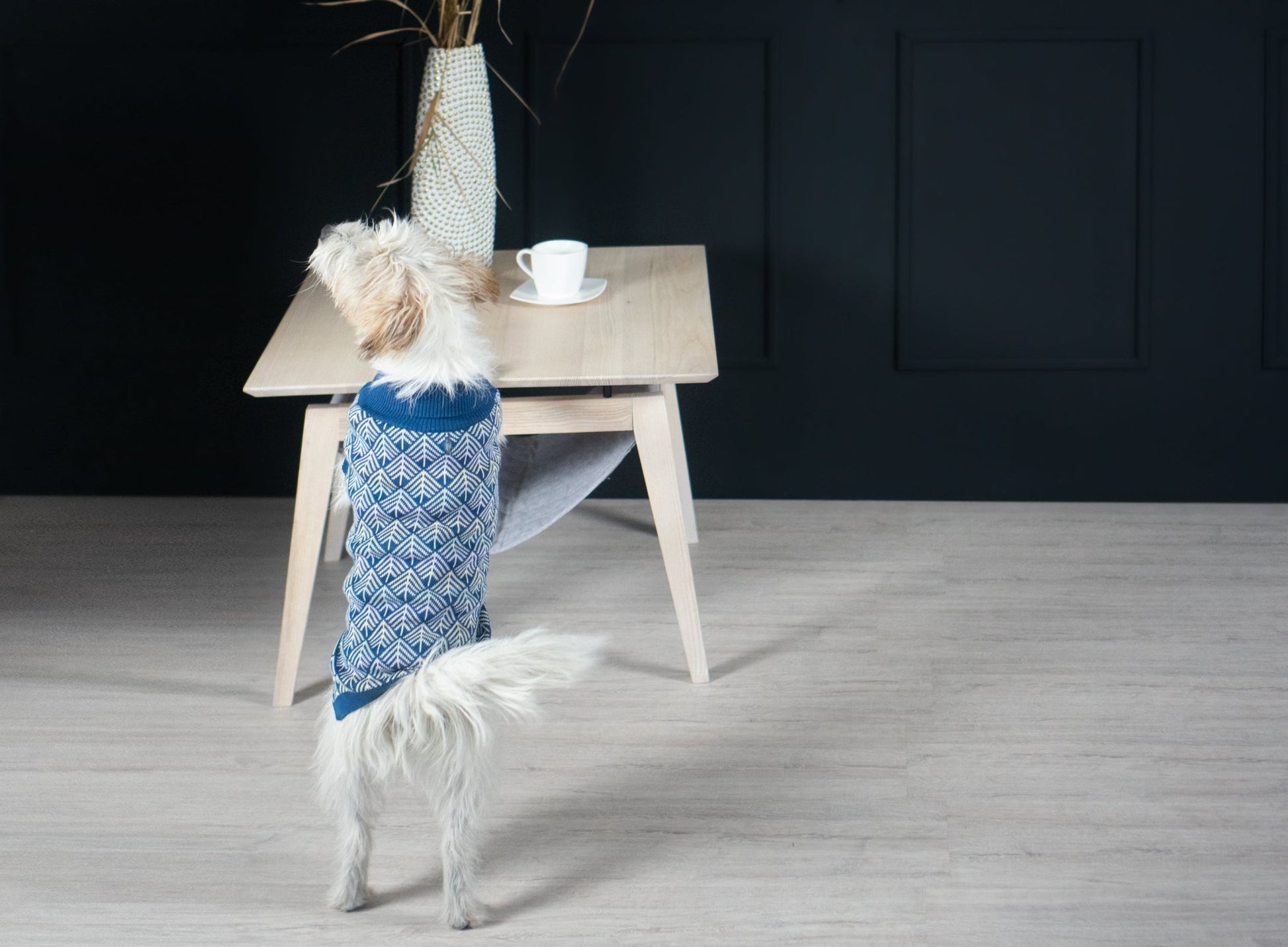 Pullo | Pull pour chien en laine italienne - Jean - Poil - Marine