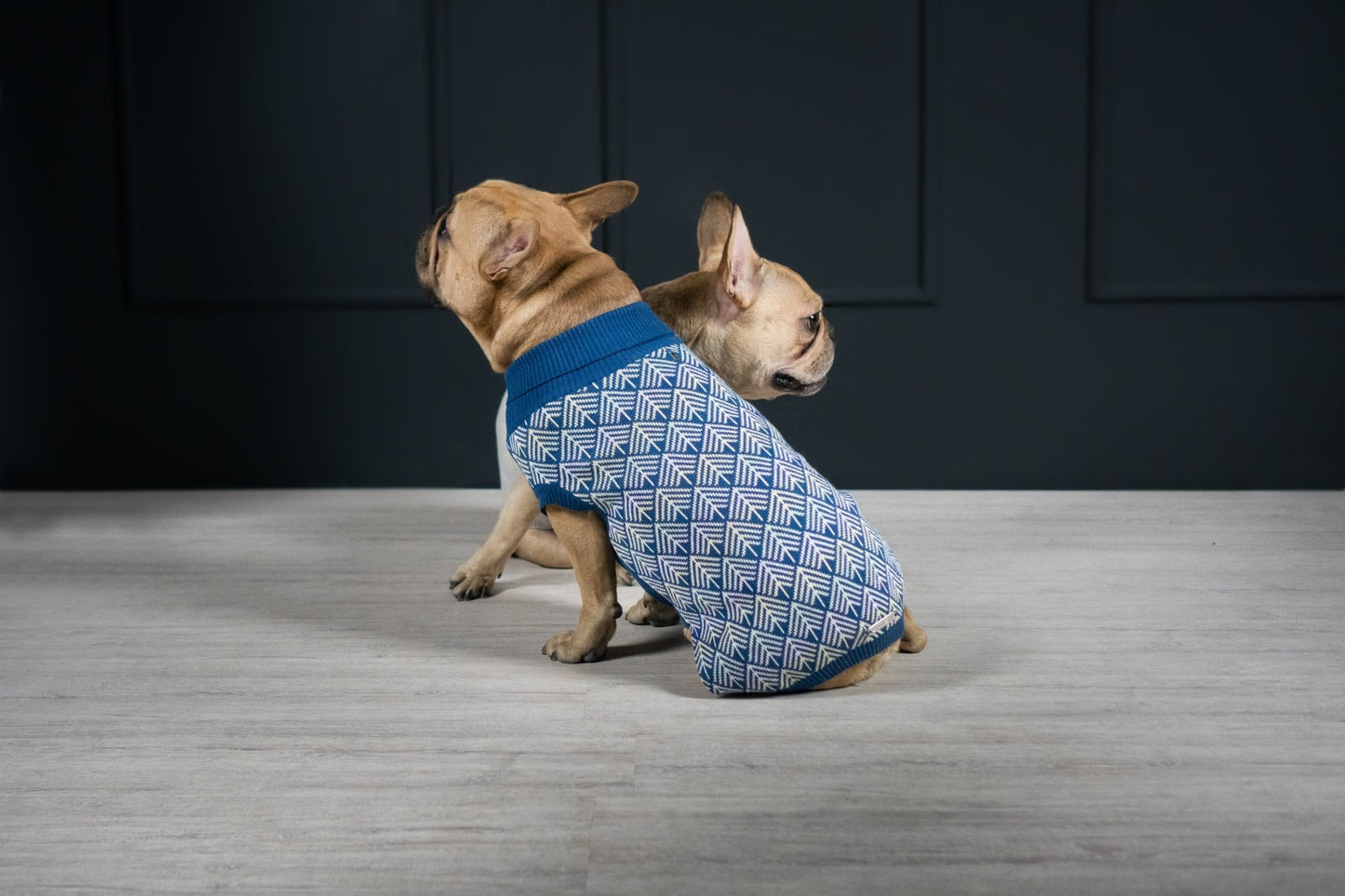 Pullo | Pull pour chien en laine italienne - Jean - Poil - Marine