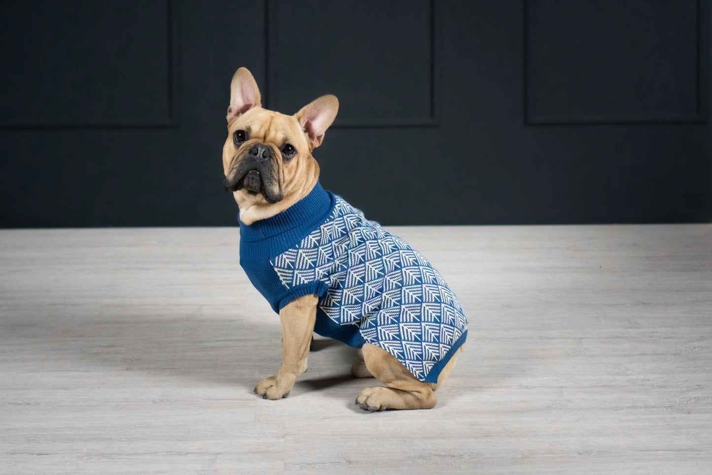 Pullo | Pull pour chien en laine italienne - Jean - Poil - Marine