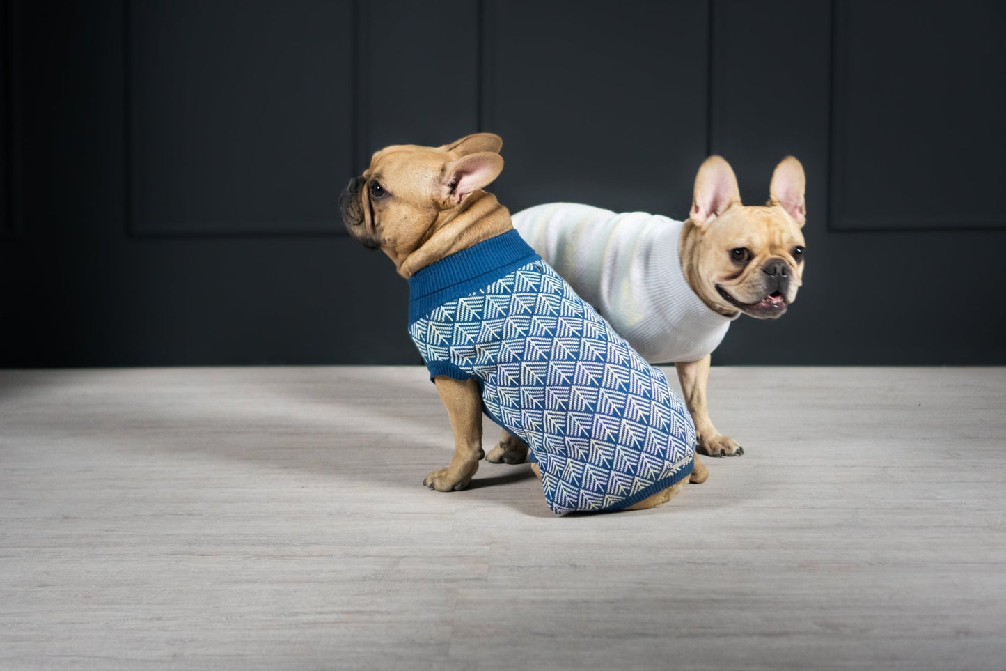 Pullo | Pull pour chien en laine italienne - Jean - Poil - Marine
