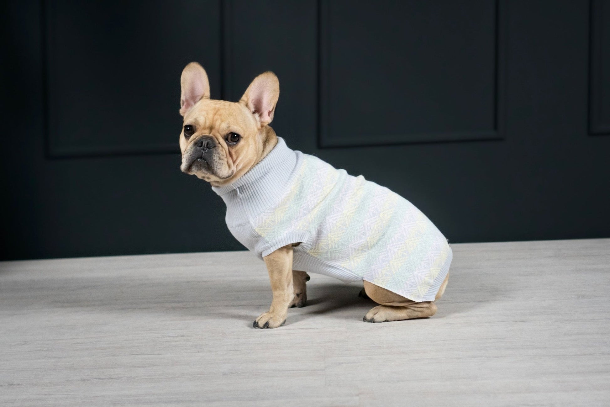 Pullo | Pull pour chien en laine italienne - Jean - Poil - Marine