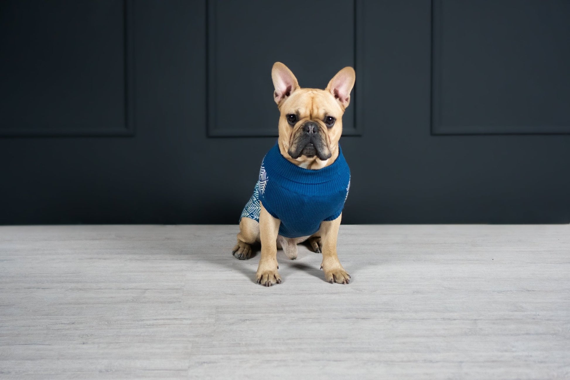 Pullo | Pull pour chien en laine italienne - Jean - Poil - Marine
