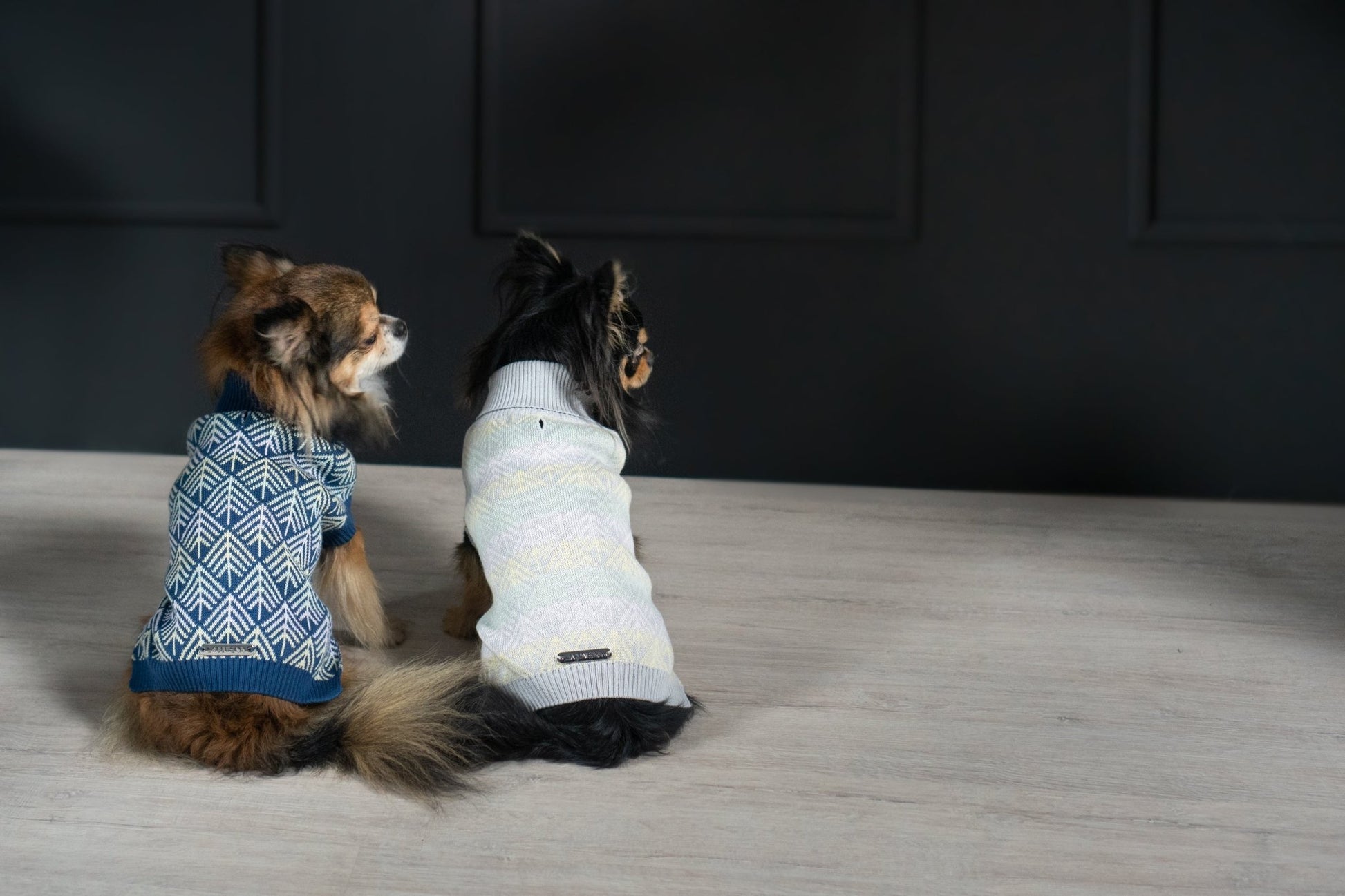 Pullo | Pull pour chien en laine italienne - Jean - Poil - Marine