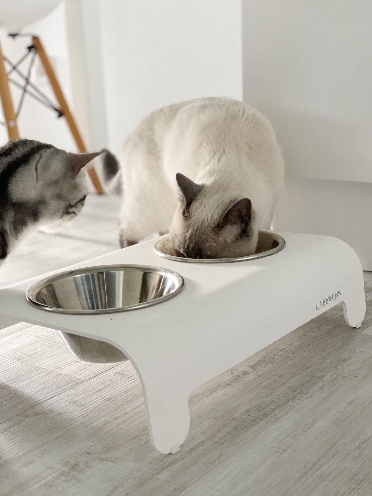Rico | Double gamelle design pour chat - Jean - Poil - Mokka