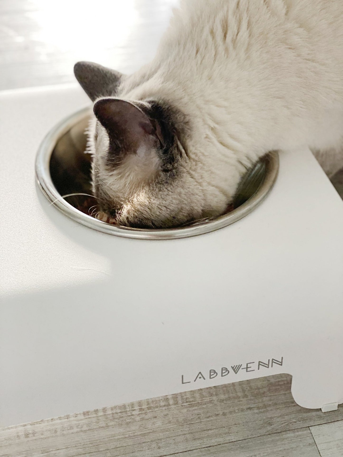 Rico | Double gamelle design pour chat - Jean - Poil - Mokka