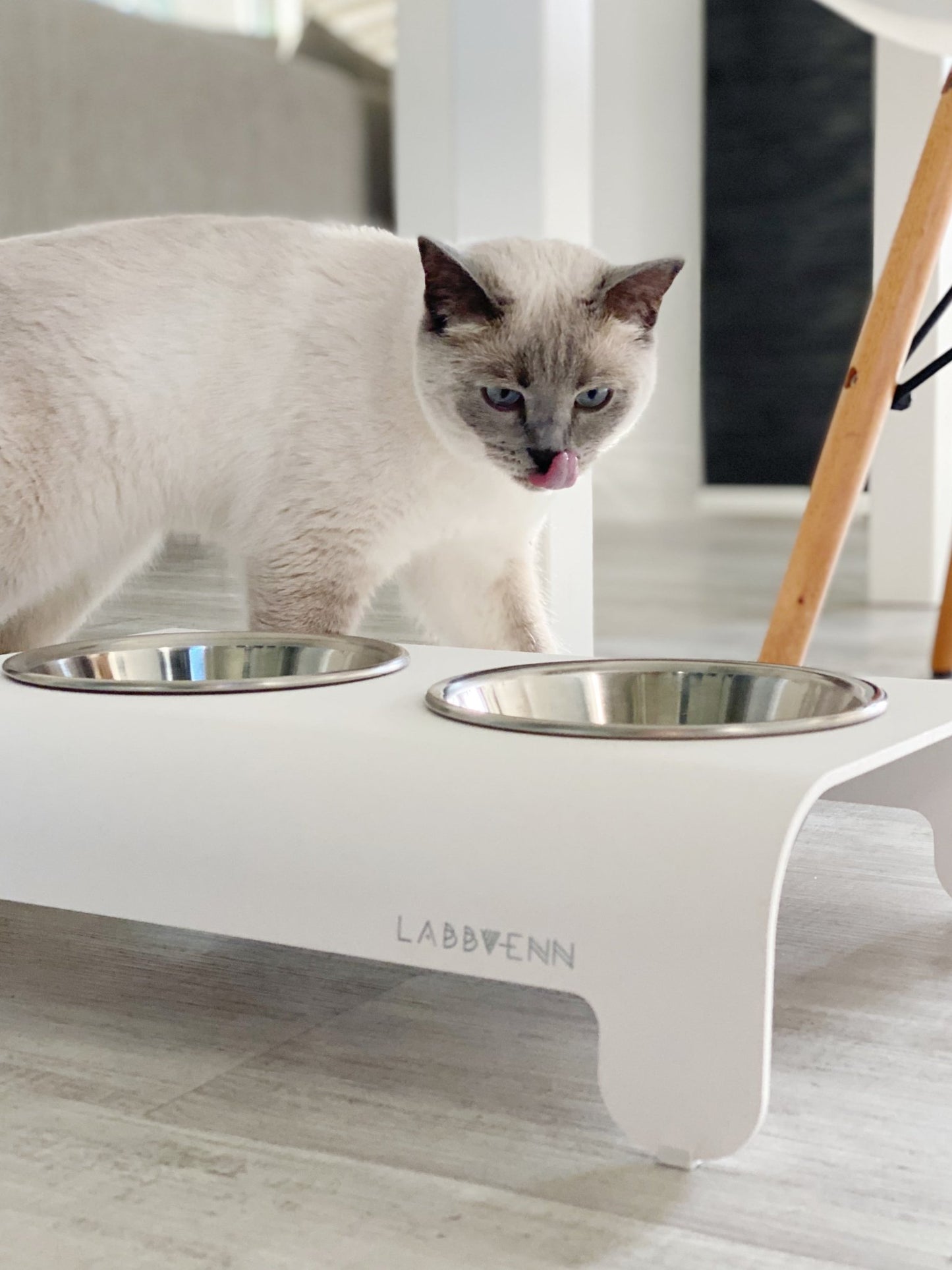 Rico | Double gamelle design pour chat - Jean - Poil - Mokka