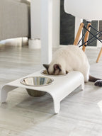 Rico | Double gamelle design pour chat - Jean - Poil - Mokka