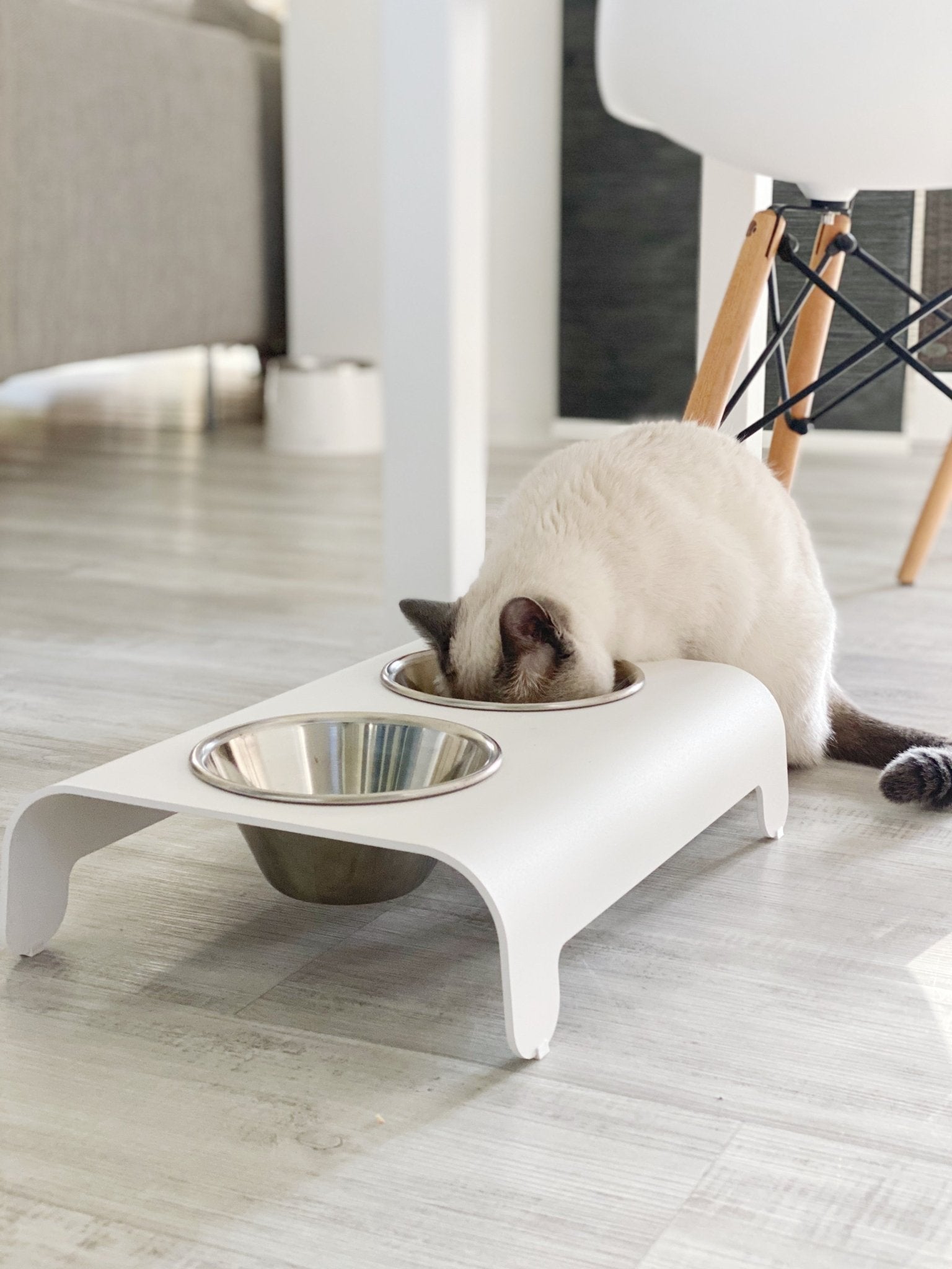 Rico | Double gamelle design pour chat - Jean - Poil - Mokka